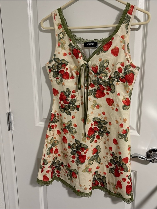 Cider Dresses & Skirts - Cider Mini Dress Medium Strawberry Lace 32’L 17’ PTP